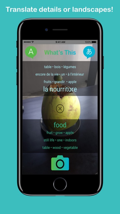 What's This - Translate Your World screenshot-3