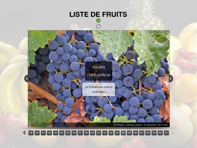 Les types de fruits(圖5)-速報App