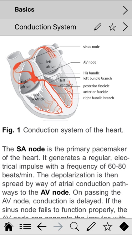 ECG pocket