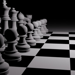 The Chess Glossary: Positions, Problems, Jargon