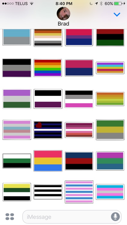 PrideNotPrejudice Solidarity Flags