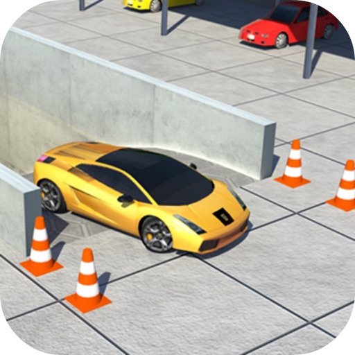 Test Car Parking Advance 3D Icon
