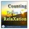 Counting down for relaxation: