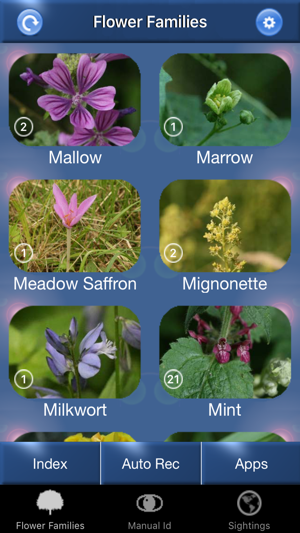 Wild Flower Id Automatic Recognition British Isles On The App Wild Flower Id Automatic Recognition