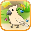 birdwatch ~healing-game~