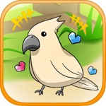birdwatch healing-game