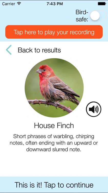 ChirpOMatic USA, Automatic Bird Song Recognition