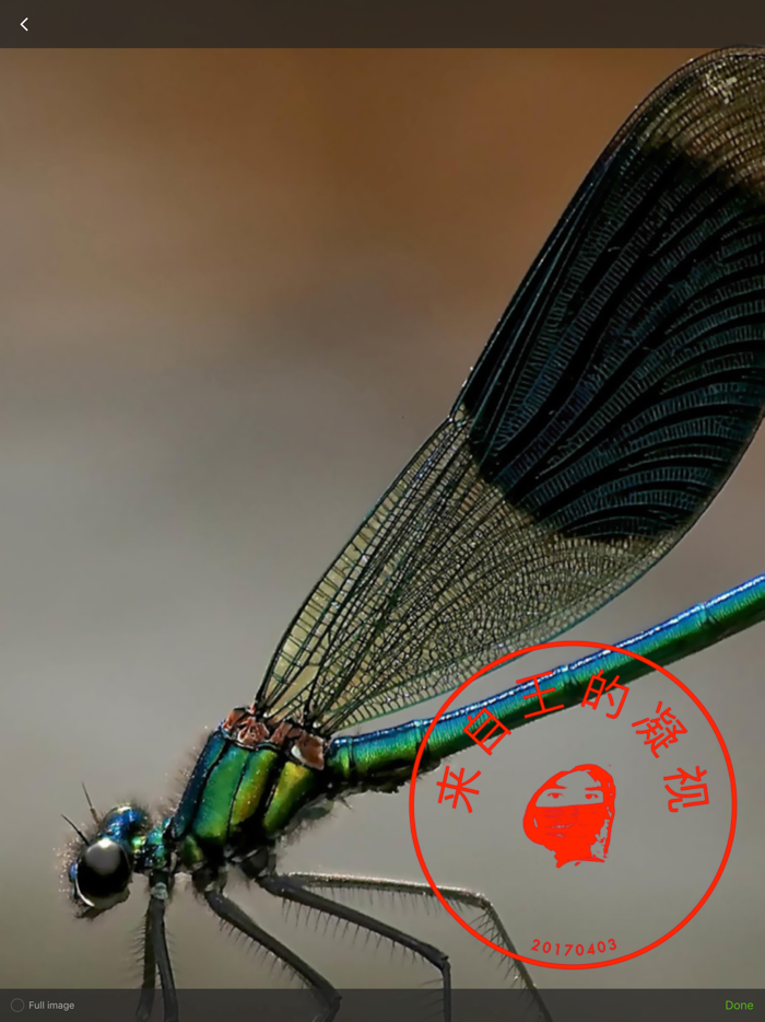 电子印章制作工具之给照片盖个章