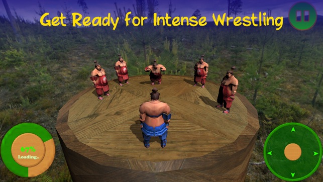 Sumotori Wrestle Dreams 3D