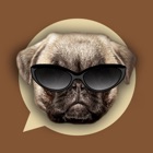Top 50 Photo & Video Apps Like Emoji My Dog: Make Custom Emojis of Dogs Photos - Best Alternatives