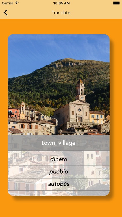 Essential Spanish Vocabulary Flashcards screenshot-3
