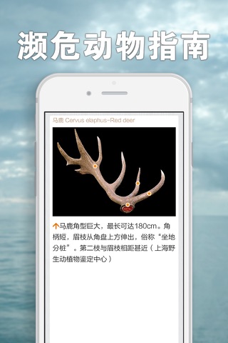 濒危动物指南 screenshot 3