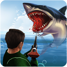 Activities of Wild Shark Hunting
