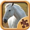 Horse Puzzle Games - Amazing Logic Puzzles