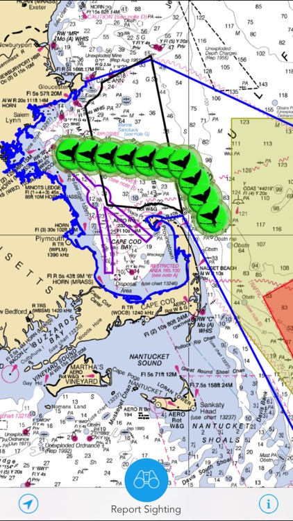 Whale Alert - Reducing Ship Strikes - Worldwide