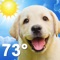 Smile every time you check the weather