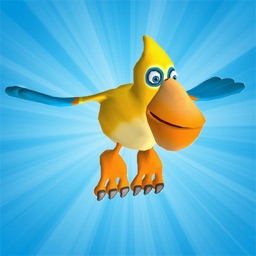 BirdSplasher - AugmentedReality