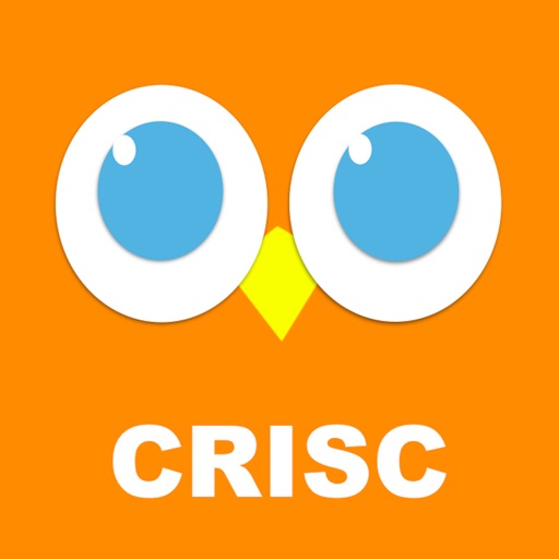 CRISC Trainingsunterlagen | Sns-Brigh10