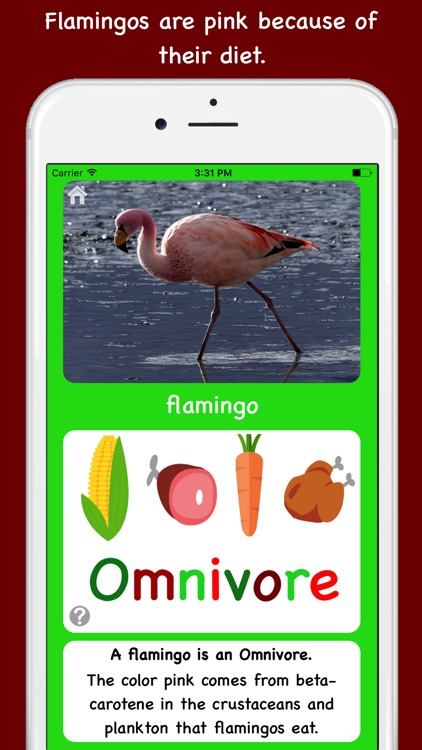 Tip Tap learn, what do animals eat? screenshot-3