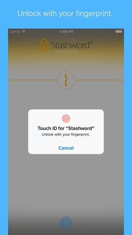 Stashword - Digital Vault screenshot-0