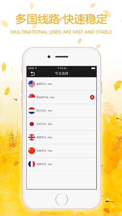 VPN - China极速VPN