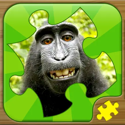 Fun Puzzle Games Cheats