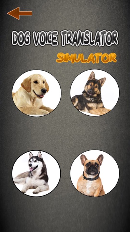 Dog Voice Translator Simulator screenshot-3