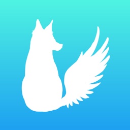 White Fox For Twitter By Yusuke Matsukawa