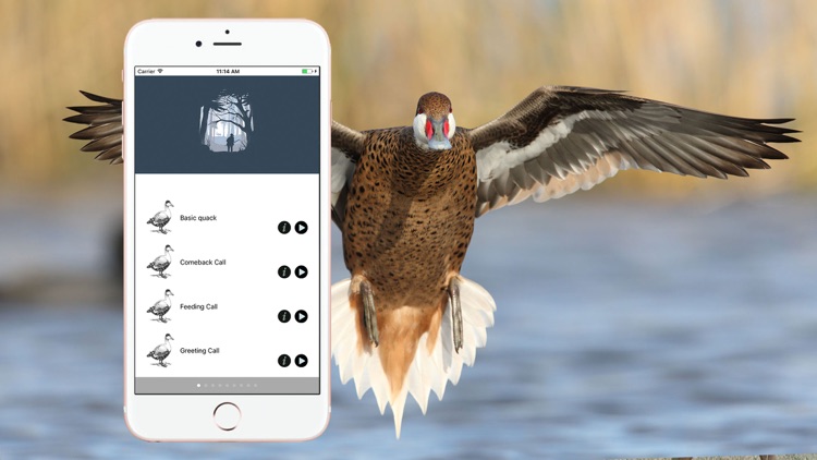 Hunting Calls Full screenshot-4