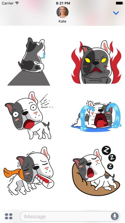 Noah The Frenchie Stickers