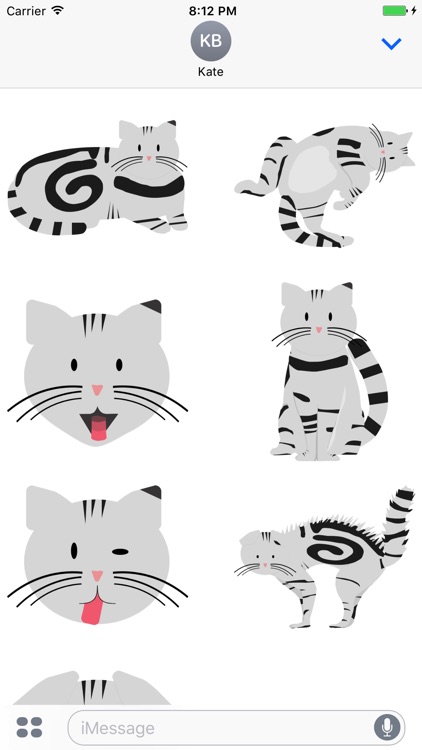 Fluffy Kitty