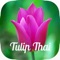 Tulip Thai is proud & honoured to serve fresh and healthy Thai food