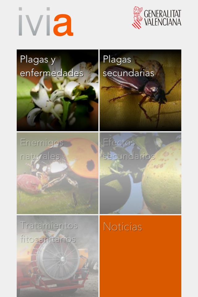 Gipcitricos IVIA screenshot 2