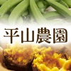 種子島から産直!安納芋など新鮮野菜のお取り寄せなら|平山農園