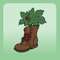 Greetings PlantShoe