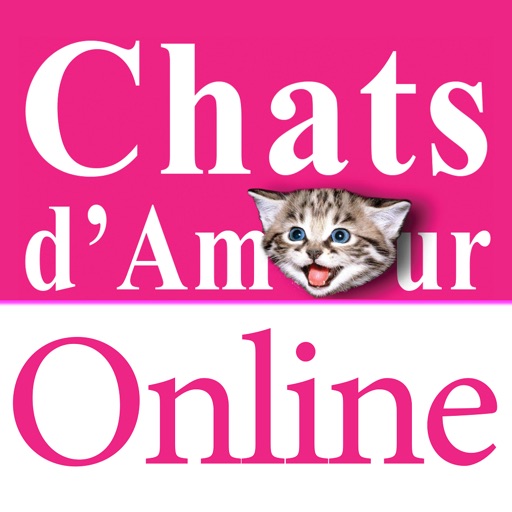 Free Chat No Download