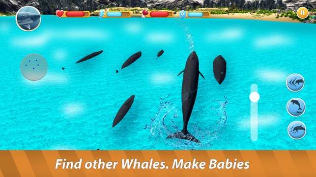 Blue Whale Family Simulator Full(圖2)-速報App