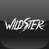 Wildster Fashion