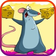 Activities of Smart Mouse Puzzle