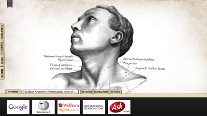 Gray's Anatomy Premium Edition Screenshot 3