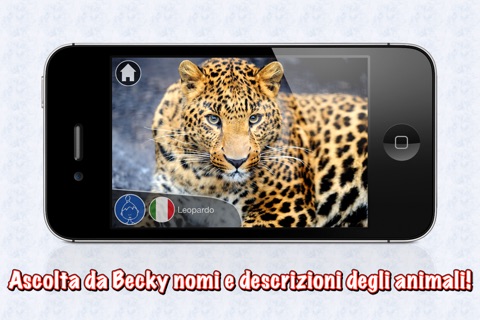 Animali dal vivo screenshot 4