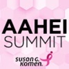 AAHEI Summit