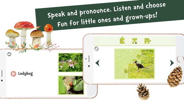 Sami Tiny FlashCards forest adventures kids apps(圖5)-速報App