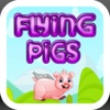 Flying Piggy - The Next Generation
