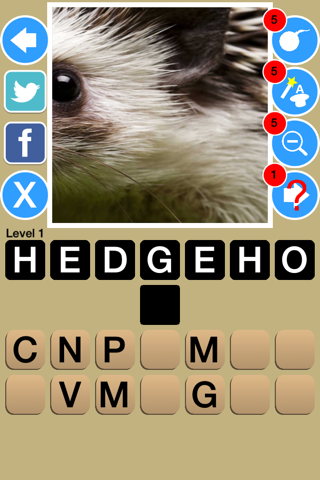Zoom Out Pictures Game Quiz Maestro screenshot 4