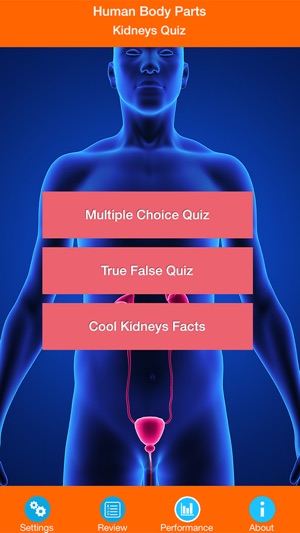 Human Body Parts : Kidneys Quiz