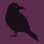 Edgar Allan Poes The Raven Fully Illustrated