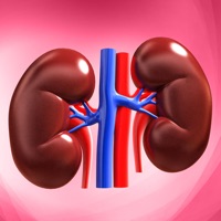 Learn Kidney Anatomy PC 용