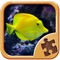 Icon Cool Fish Jigsaw Puzzles - Fun Logical Games