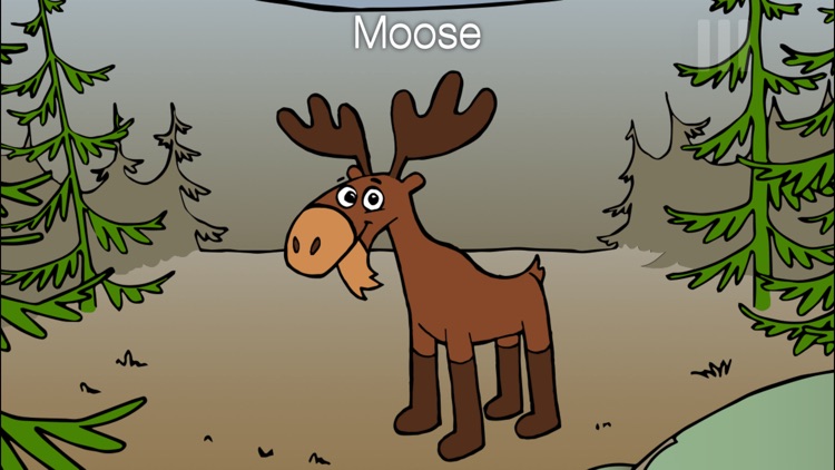 Peekaboo HD Forest